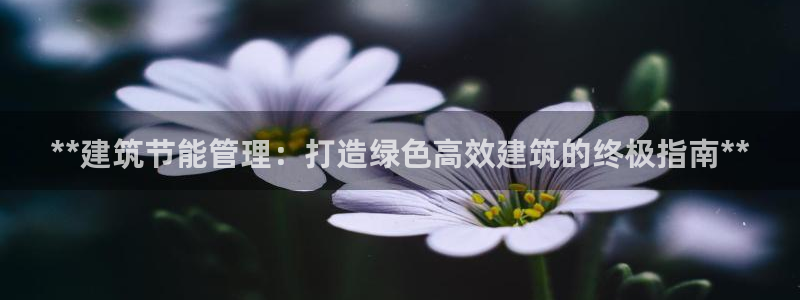 e尊国际-可可计划：**建筑节能管理：打造绿色高效建筑的终极指南**