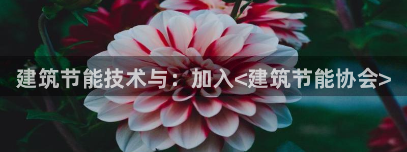 e尊国际-可可计划