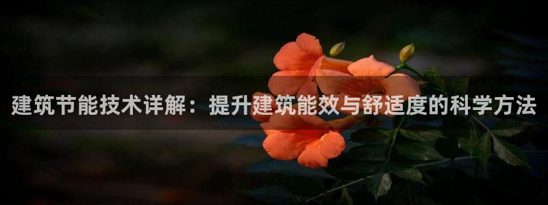 e尊国际app
