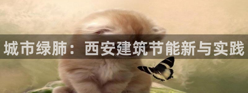 e尊国际可靠吗：城市绿肺：西安建筑节能新与实践