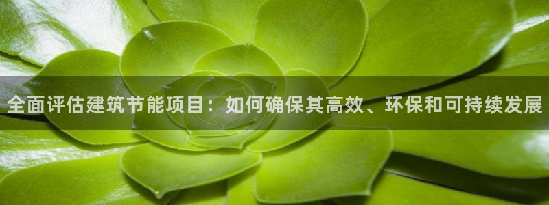 e尊国际网址