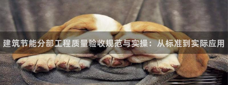 e尊国际娱乐官网下载