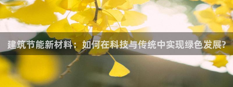 E尊国际