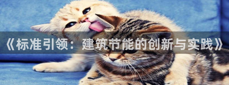 e尊国际平台：《标准引领：建筑节能的创新与实践》