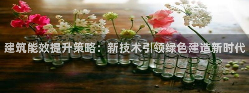 e尊国际平台：建筑能效提升策略：新技术引领绿色建造新时代