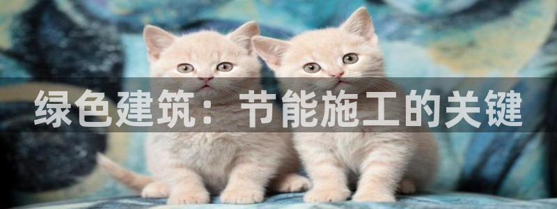 e尊国际客户端下载：绿色建筑：节能施工的关键