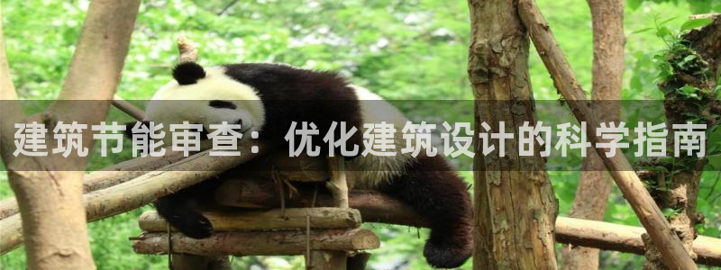 e尊国际可靠吗：建筑节能审查：优化建筑设计的科学指南