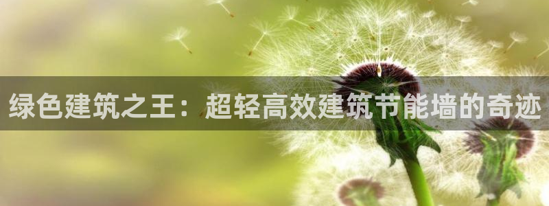 谁知道e尊国际的网址：绿色建筑之王：超轻高效建筑节能墙的奇迹