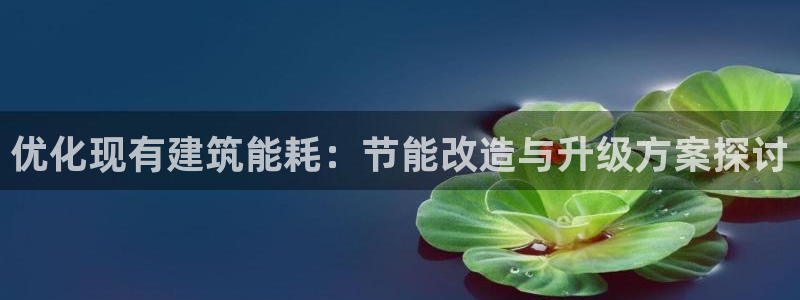 e尊国际的手机登录网站：优化现有建筑能耗：节能改造与升级方案探讨