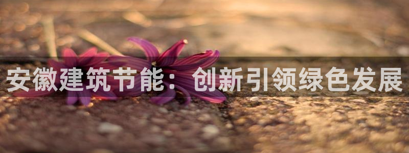 e尊官网：安徽建筑节能：创新引领绿色发展