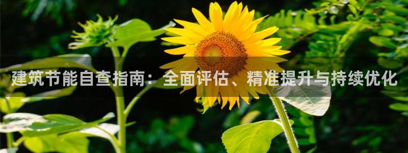 E尊国际网站：建筑节能自查指南：全面评估、精准提升与持续优化