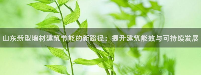 e尊国际地址：山东新型墙材建筑节能的新路径：提升建筑能效与可持续发展