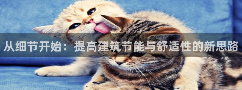 e尊国际娱乐官网地址：从细节开始：提高建筑节能与舒适性的新思路