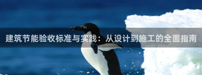 e尊国际是干什么的