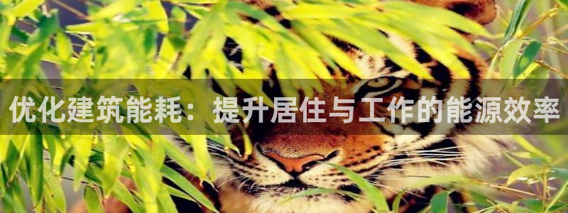 尊亿游戏国际官网