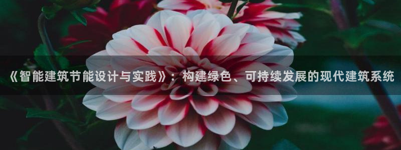 尊亿娱乐国际官网