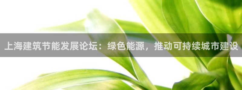 e尊国际-e尊国际官网：上海建筑节能发展论坛：绿色能源，推动可持续城市建设