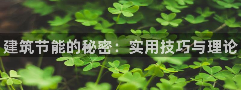 e尊国际网址