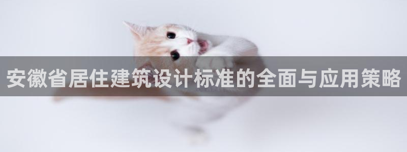 e尊国际-e尊国际官网