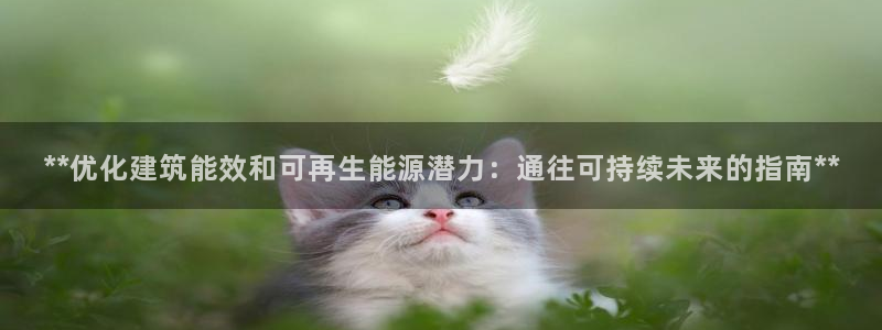 e尊国际地址：**优化建筑能效和可再生能源潜力：通往可持续未来的指南**
