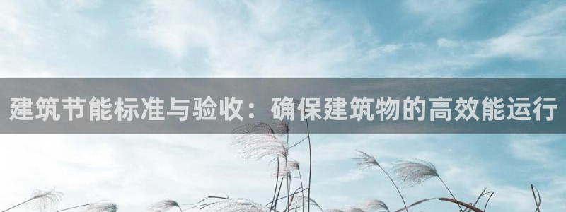e尊国际官网app：建筑节能标准与验收：确保建筑物的高效能运行