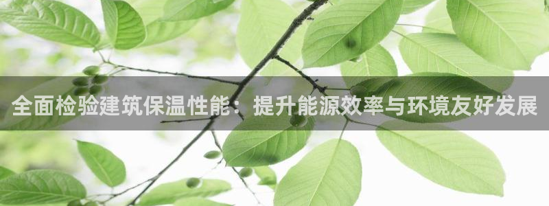 e尊国际是个黑网