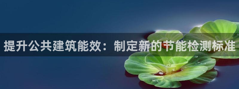 e尊国际娱乐官网下载：提升公共建筑能效：制定新的节能检测标准