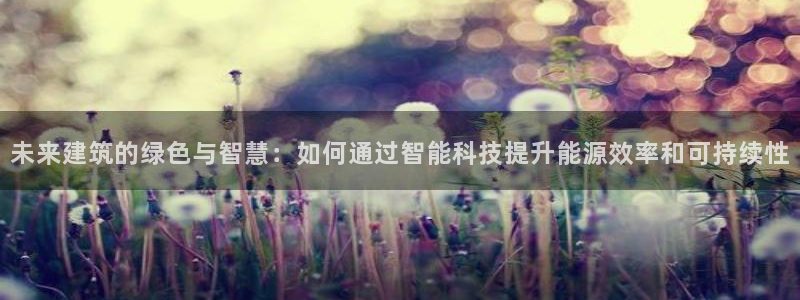 e尊国际-可可计划