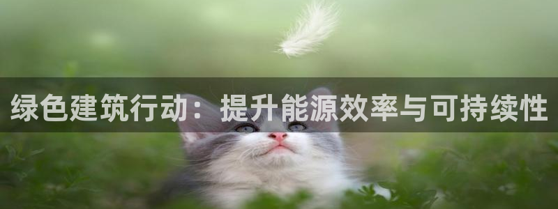 e尊国际网址：绿色建筑行动：提升能源效率与可持续性