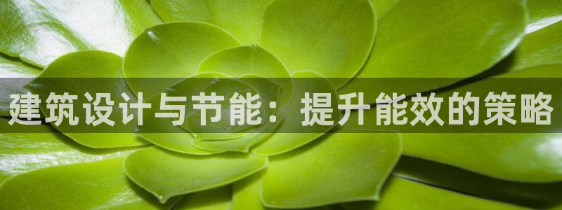 e尊国际-可可计划