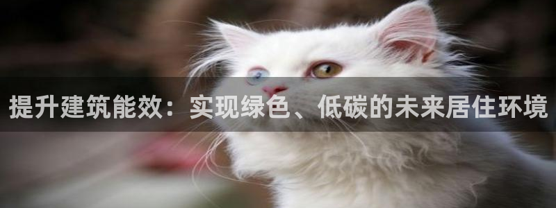 e尊国际-e尊国际官网：提升建筑能效：实现绿色、低碳的未来居住环境