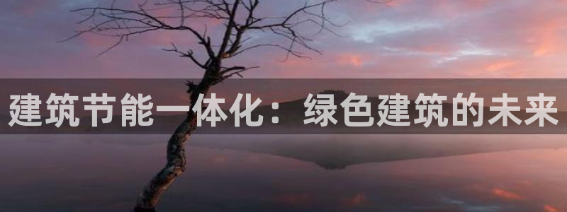 e尊国际平台：建筑节能一体化：绿色建筑的未来