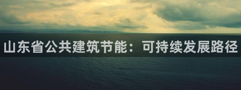 e尊国际平台：山东省公共建筑节能：可持续发展路径