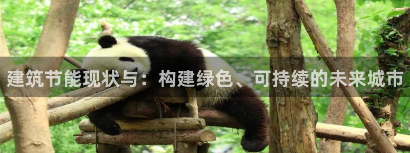 e尊国际app：建筑节能现状与：构建绿色、可持续的未来城市