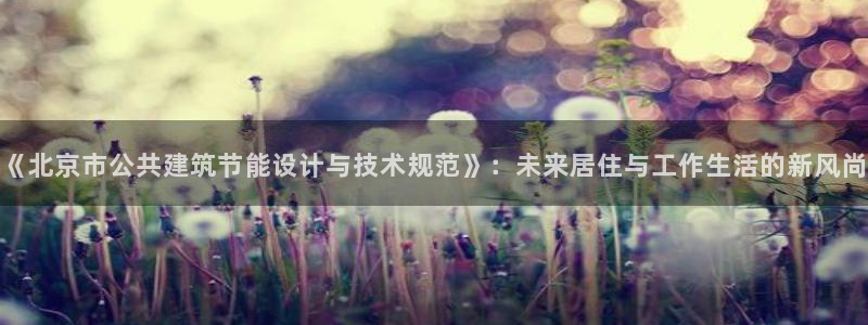 e尊国际官网·网址：《北京市公共建筑节能设计与技术规范》：未来居住与工作生活的新风尚