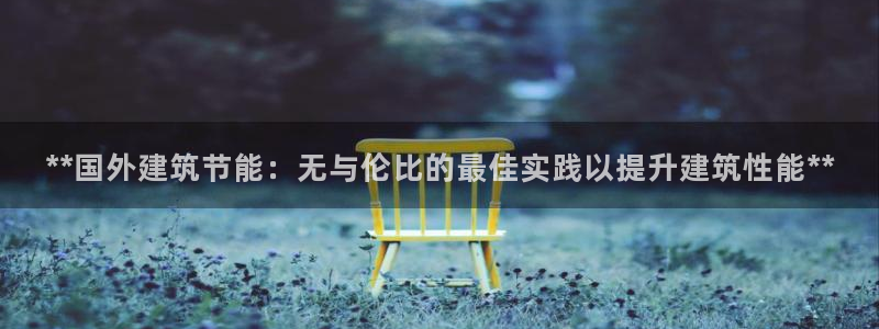 E尊国际网站：**国外建筑节能：无与伦比的最佳实践以提升建筑性能**