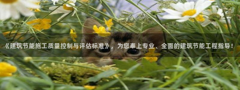 e尊体育：《建筑节能施工质量控制与评估标准》，为您奉上专业、全面的建筑节能工程指导！